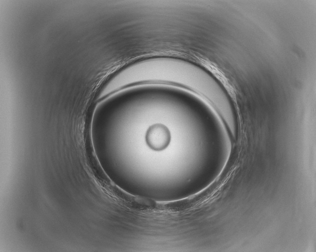 X0000116510201200912091456