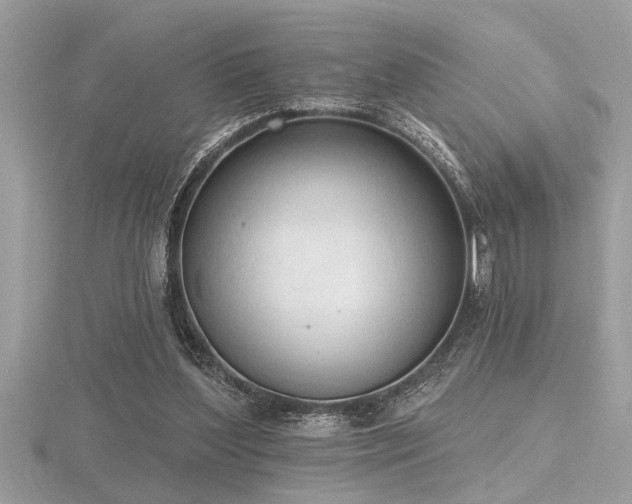 X0000116510204200912091456