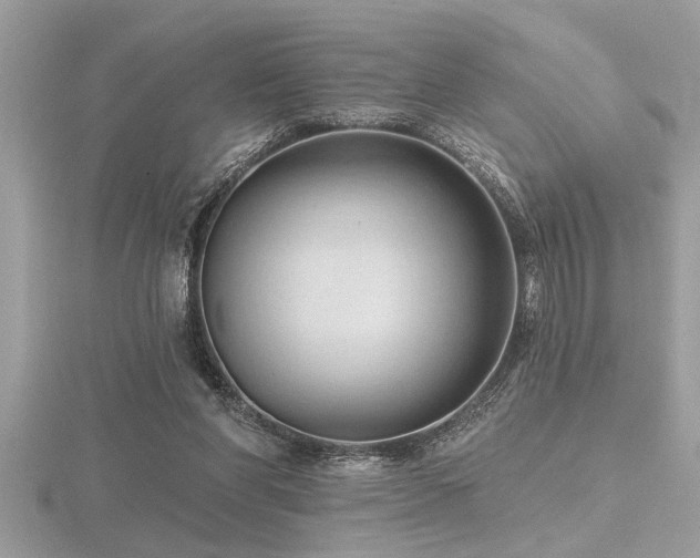 X0000116510206200912091456
