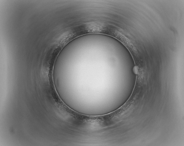 X0000116510209200912091456