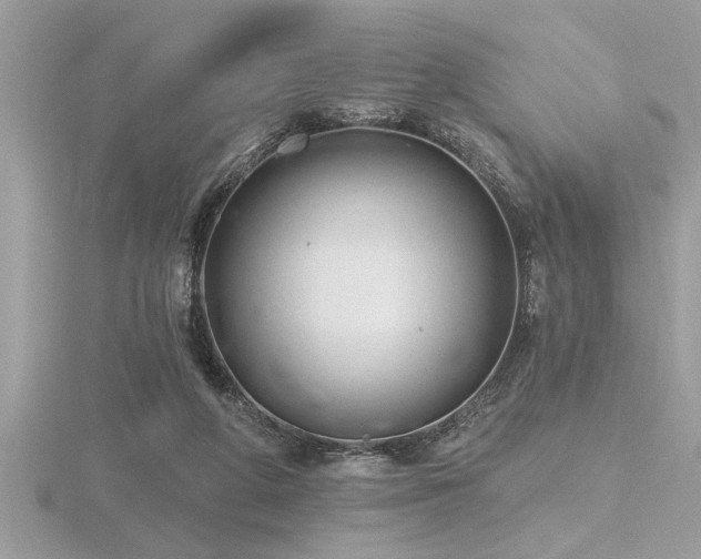 X0000116510210200912091456