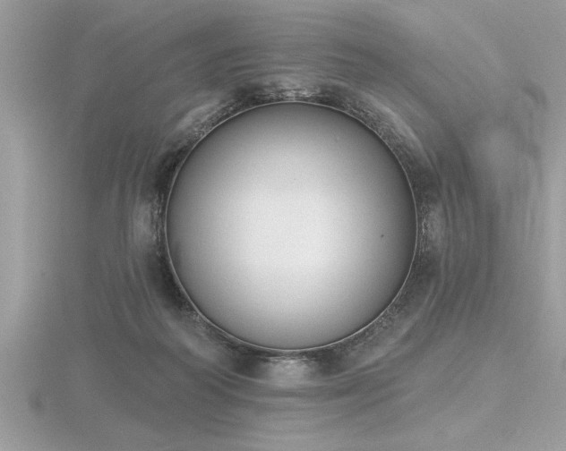 X0000116510218200912091455