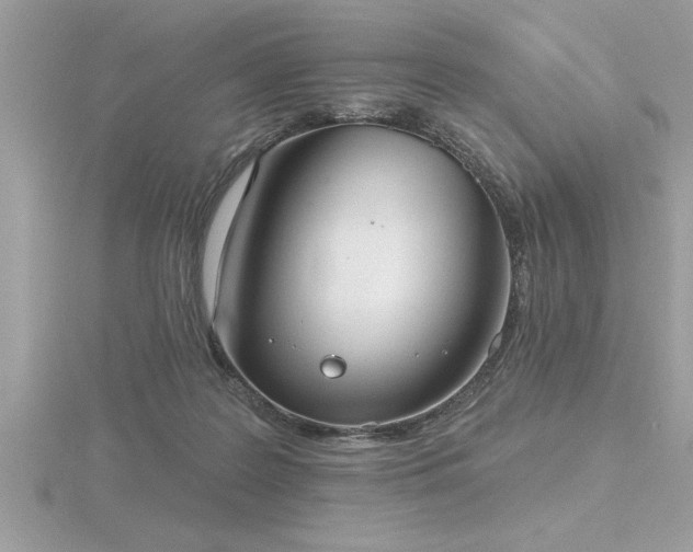 X0000116510219200912091455