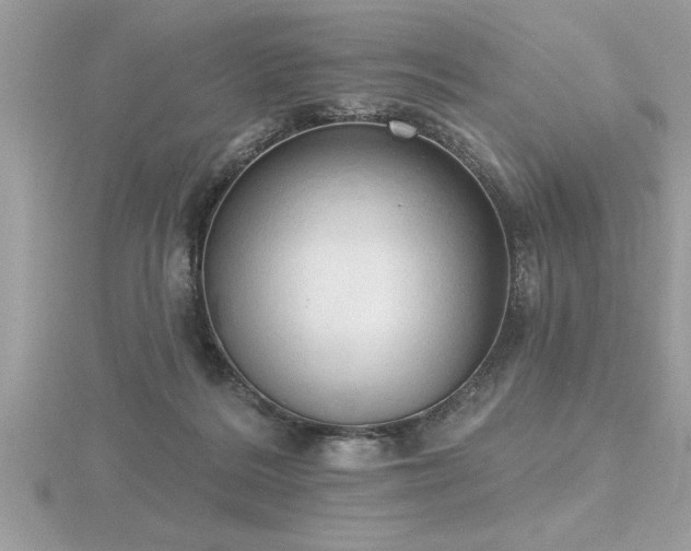 X0000116510220200912091455