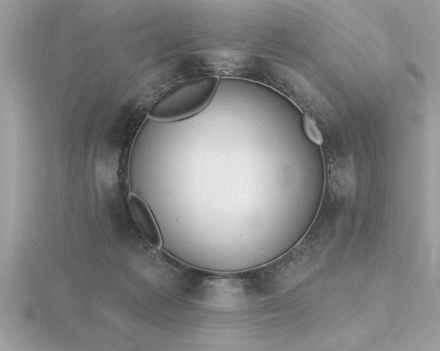 X0000116510221200912091455