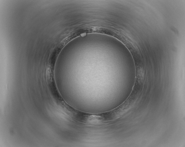 X0000116510222200912091455