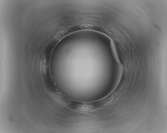 X0000116510223200912091455