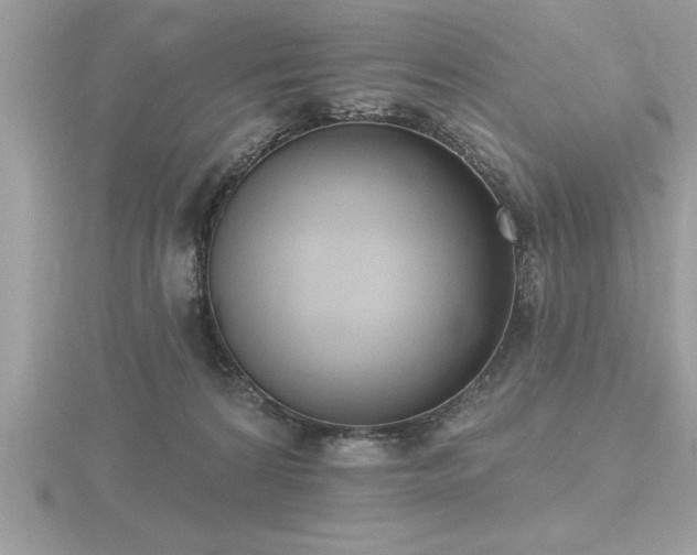 X0000116510224200912091455