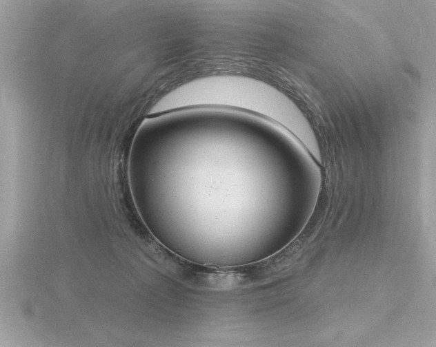 X0000116510225200912091455