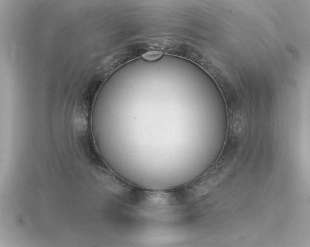 X0000116510226200912091455