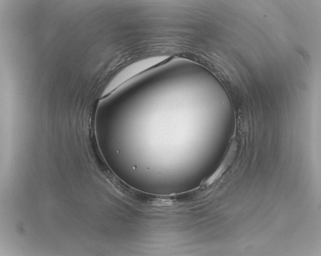 X0000116510227200912091455