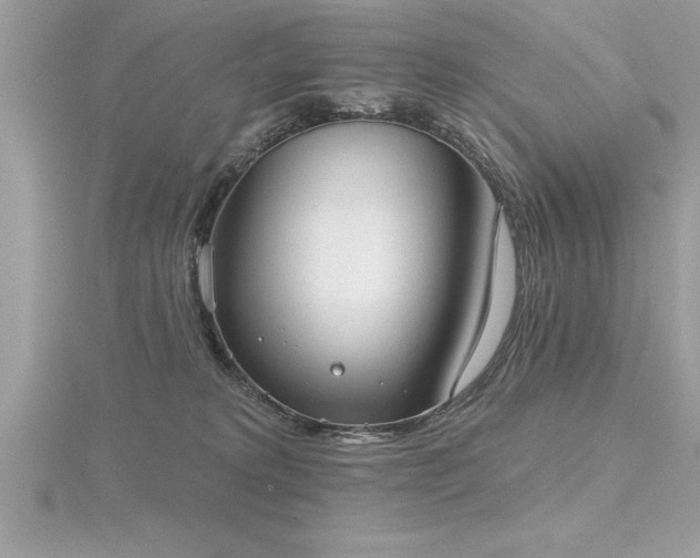 X0000116510229200912091455