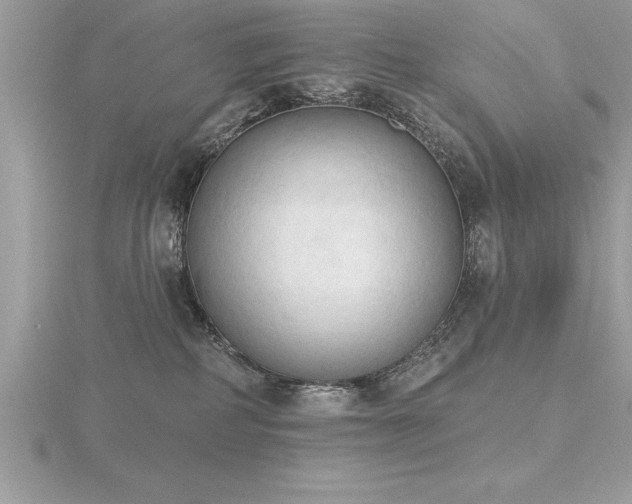 X0000116510234200912091455