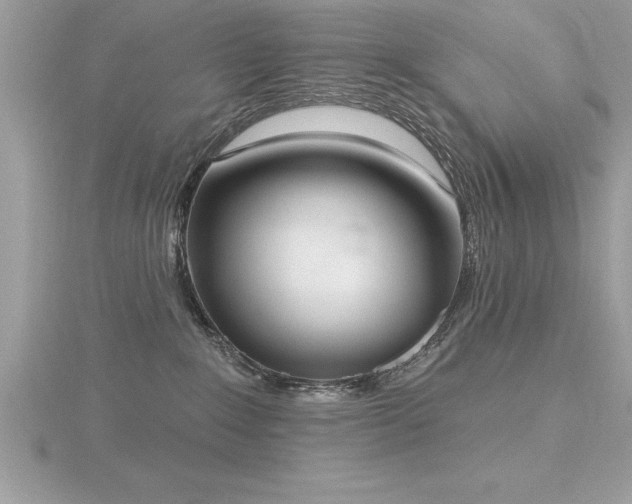 X0000116510235200912091455