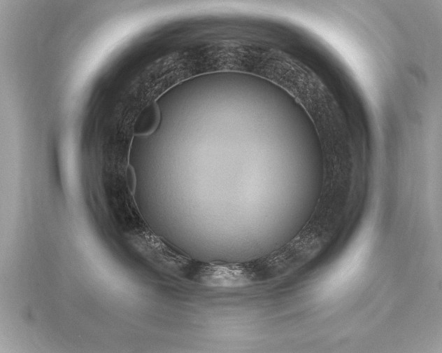 X0000116510239200912091455