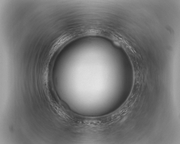X0000116510242200912091454