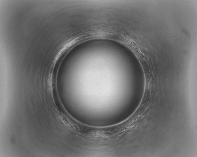 X0000116510244200912091454