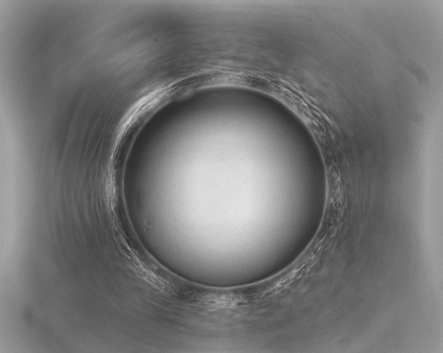 X0000116510245200912091454