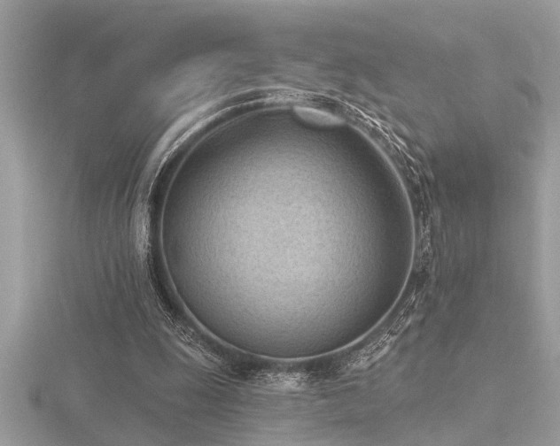 X0000116510247200912091454