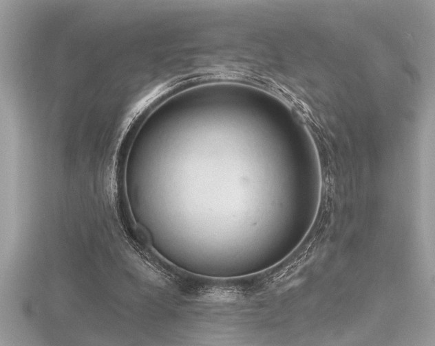 X0000116510248200912091454