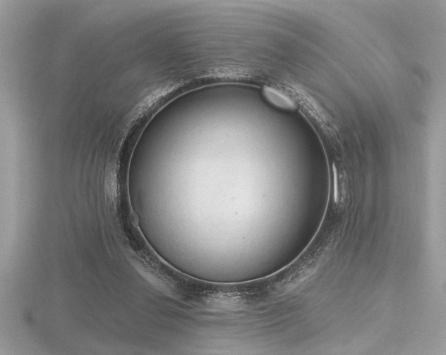 X0000116510252200912091455