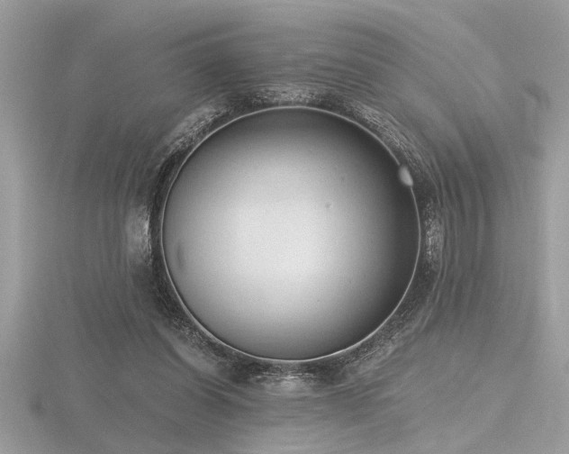 X0000116510254200912091455