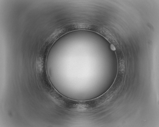 X0000116510255200912091455