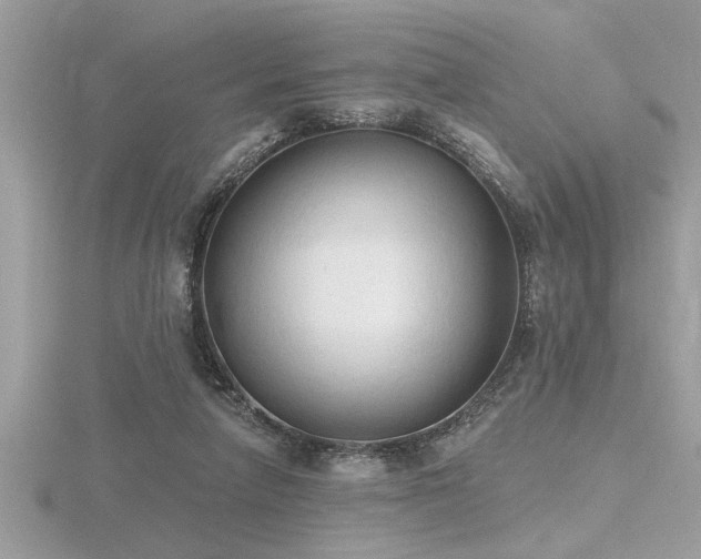 X0000116510258200912091455