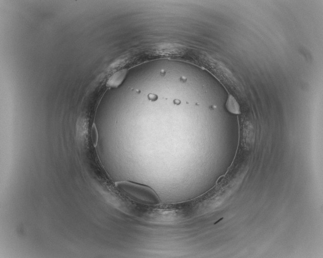 X0000116510260200912091455