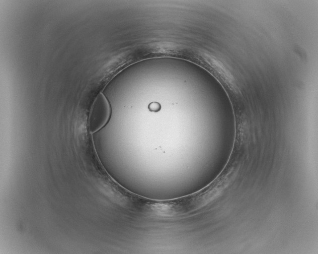 X0000116510265200912091455