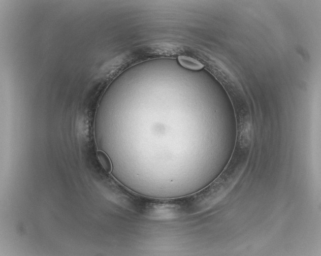 X0000116510268200912091455