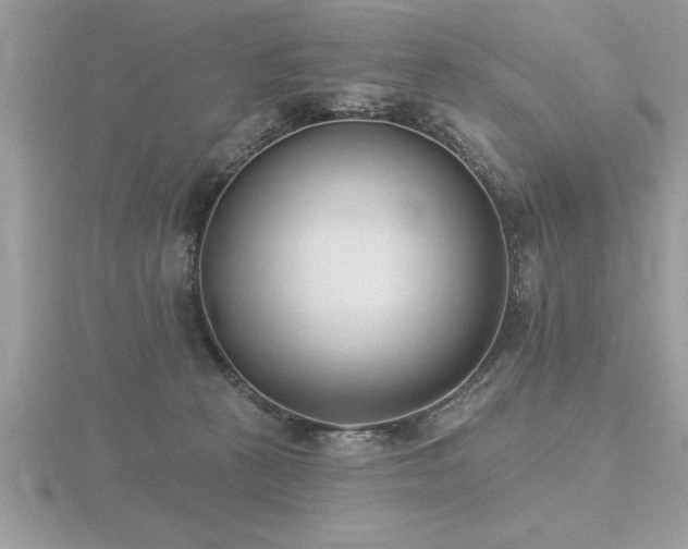 X0000116510273200912091455