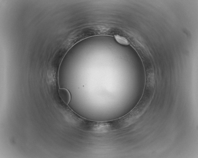 X0000116510274200912091455