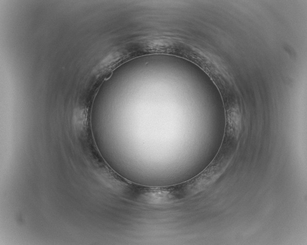 X0000116510278200912091455