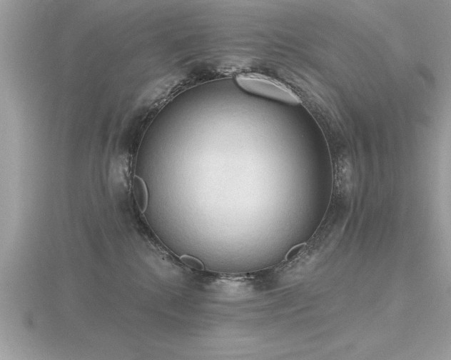 X0000116510280200912091455