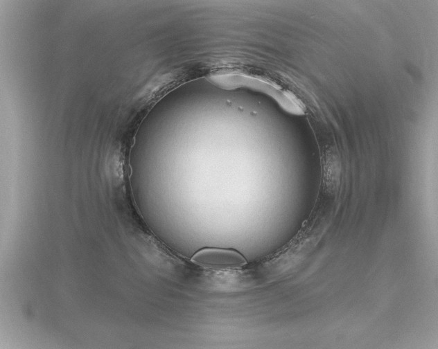 X0000116510282200912091455