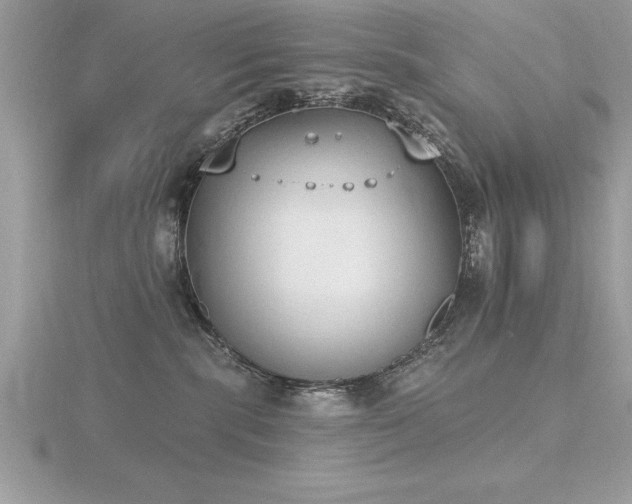 X0000116510283200912091455