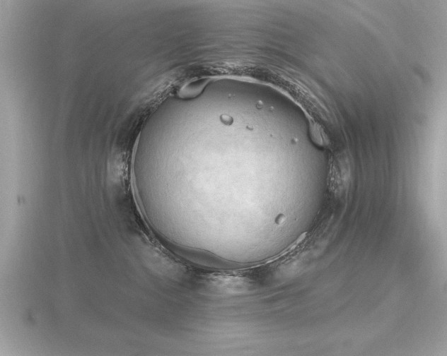 X0000116510284200912091455