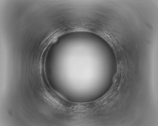 X0000116510290200912091454