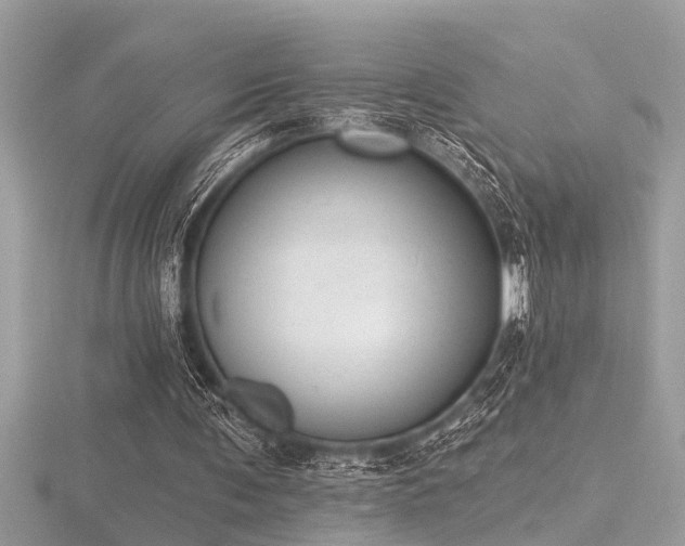 X0000116510291200912091454