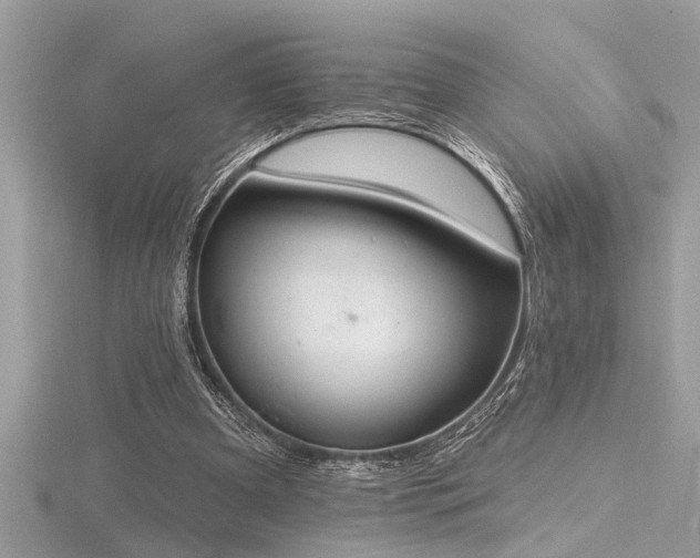 X0000116510297200912091454