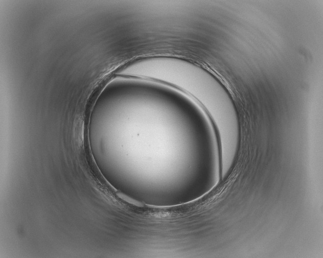X0000116510301200912091454