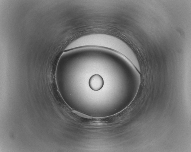 X0000116510316200912091454