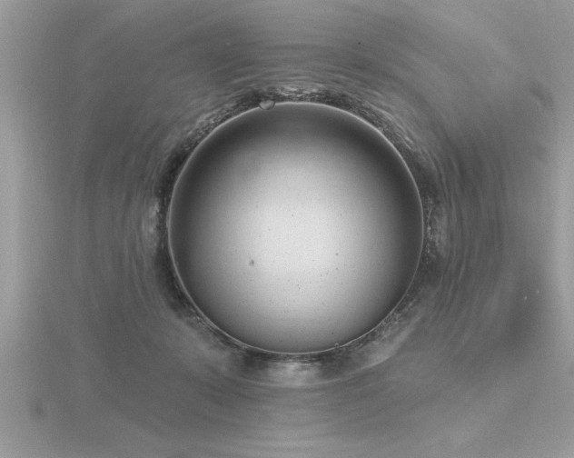 X0000116510319200912091454