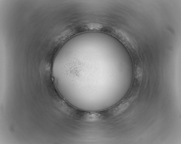 X0000116510321200912091454
