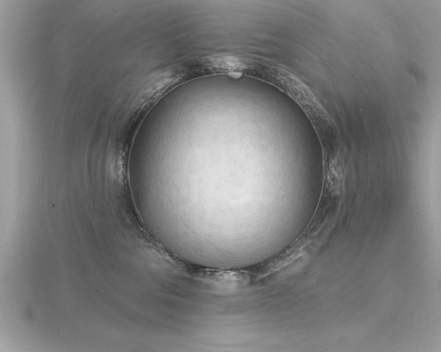 X0000116510330200912091454