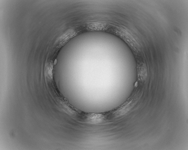 X0000116510334200912091454