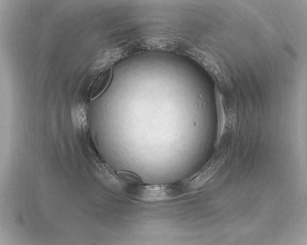 X0000116510335200912091454