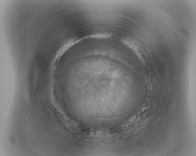X0000116510337200912091453