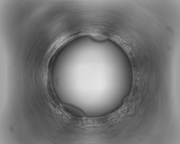 X0000116510338200912091453